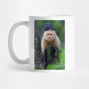 Capuchin monkey - Costa Rica Mug